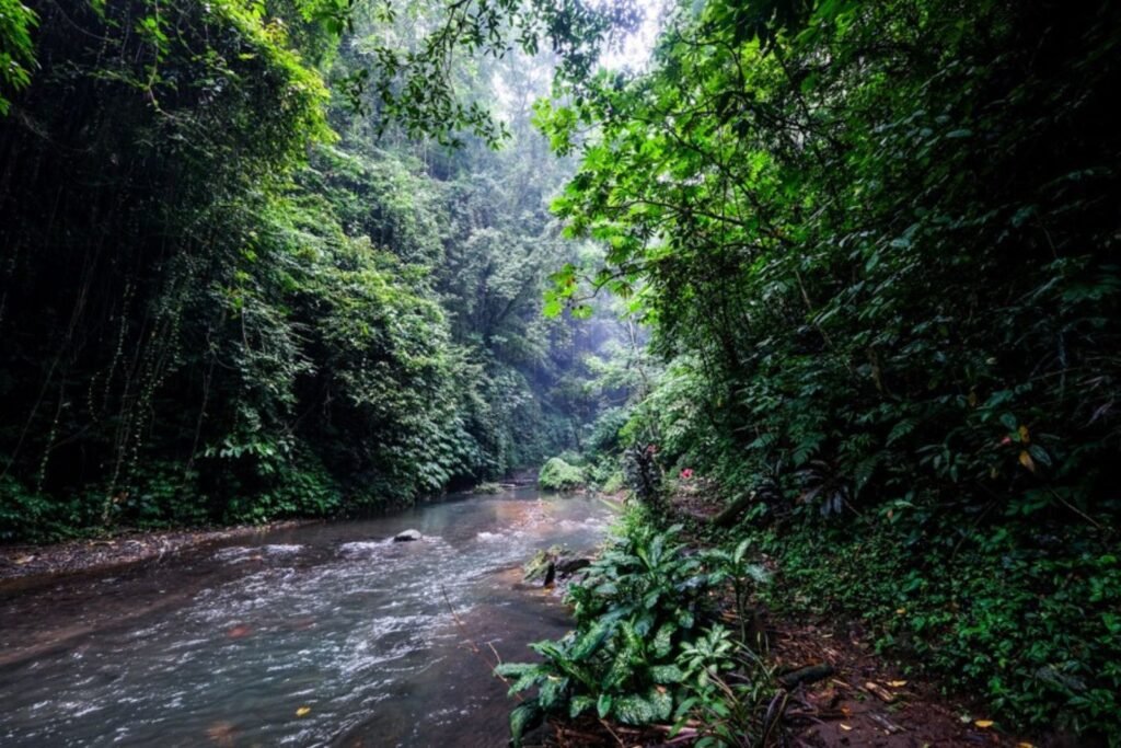 Καταρράκτης Colek Pamor στο Buleleng, βόρειο Μπαλί